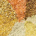 Dal