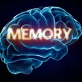 Memory Health