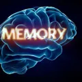 Memory & Cognitive Health