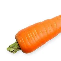 Carrot