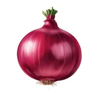 Onion