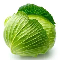 Cabbage