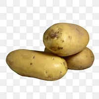 Patato