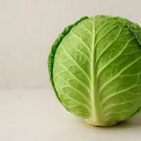 Cabbage