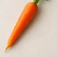 Carrot