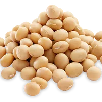 Soyabean