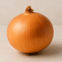 Onion