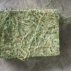 NutriHay Alfalfa Cubes