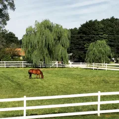 EquiGrass Premium Rhodes