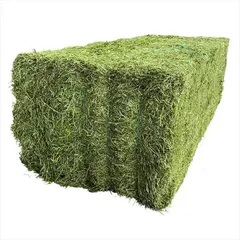 HorseGreen Alfalfa Blocks