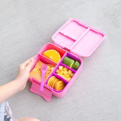 SnackPal Divider Tray Lunch Box