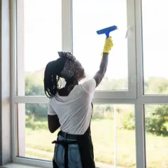 Home Cleaning