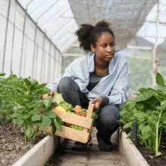 Planting