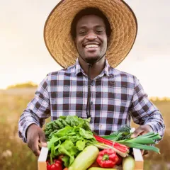 Farm Support