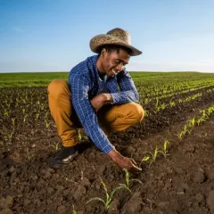 Land & Garden Maintenance
