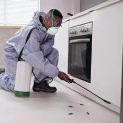 Pest Control