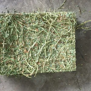 NutriHay Alfalfa Cubes