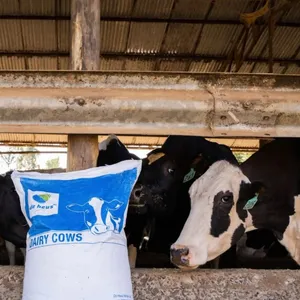 Complete Dairy Nutrition Feed