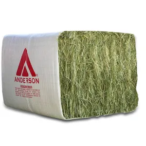 Grade A Compressed Alfalfa Hay