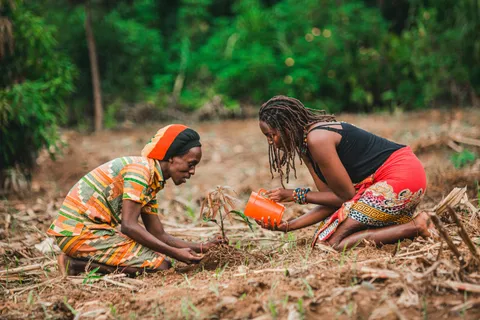 Agriculture & Outdoor