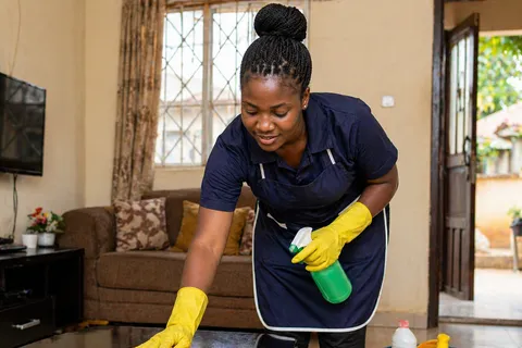 Cleaning Services