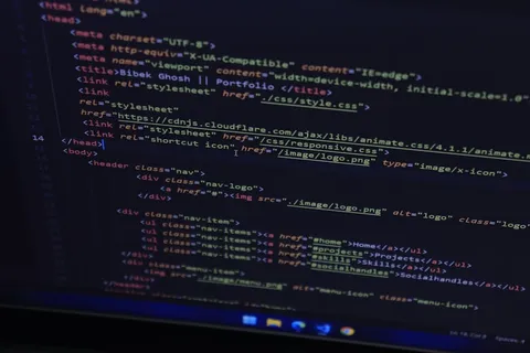 Website development