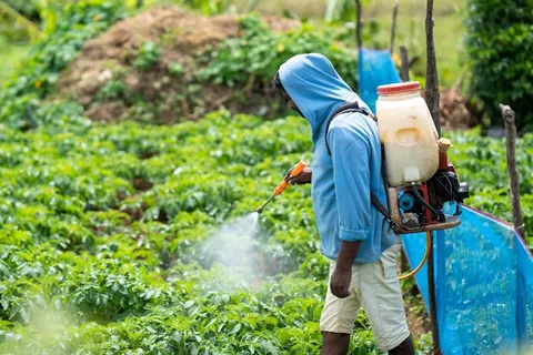 Farm pest control