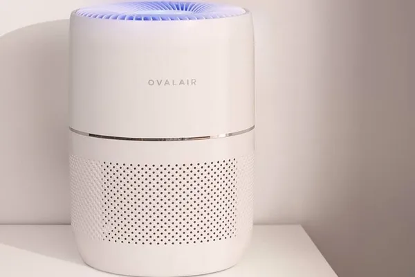HEPA Air Purifier with Air Ionizer for Rooms