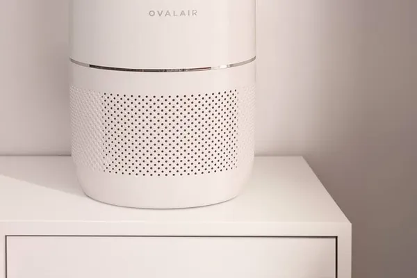 HEPA Air Purifier with Air Ionizer for Rooms