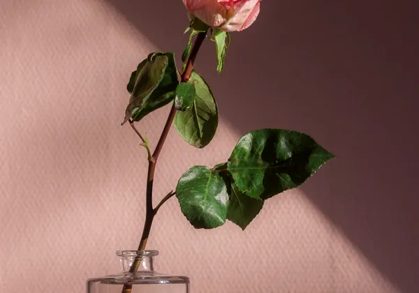 Floral Arrangement Service