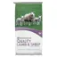 Sheep starter feed