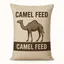 Camel racing feed