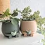 Planters & Pots