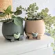 Planters