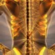 Bone Health Medicines