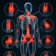 Bone & Muscle Health
