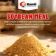 Soybean meal