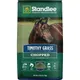 Rhodes grass