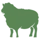 Sheep & Goat Feed