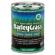Australian barley