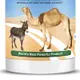 Camel grazing feed