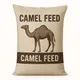 Camel racing feed