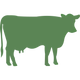 Cattle & Dairy Feed