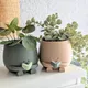 Planters & Pots