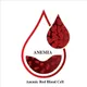 Iron & Anemia Care