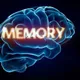 Memory & Cognitive Health