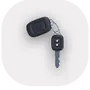 rentalicon