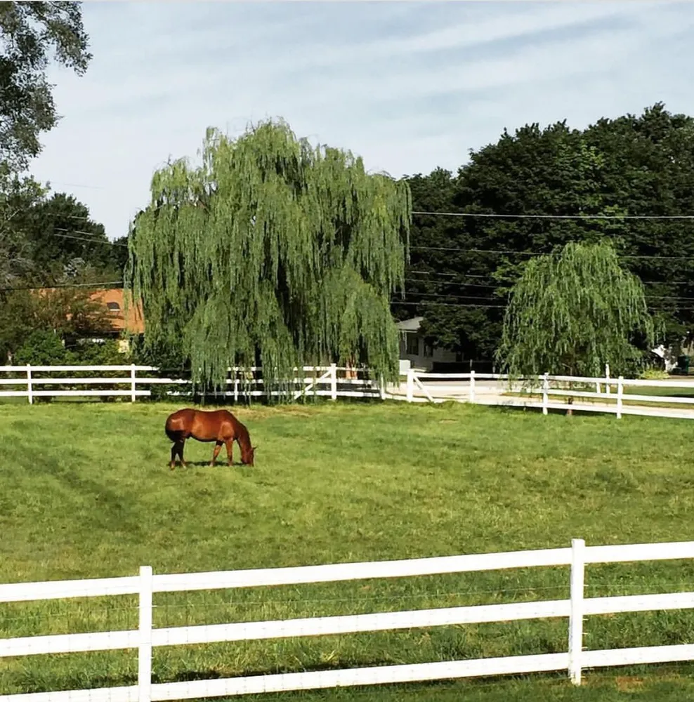 EquiGrass Premium Rhodes