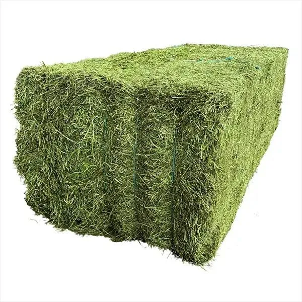 HorseGreen Alfalfa Blocks