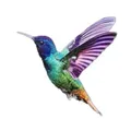 profile-image